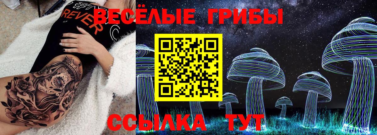 Псилоцибиновые грибы Psilocybine cubensis  Псилоцибиновые грибы GOLDEN TEACHER  Вход с VPN  Скопин 